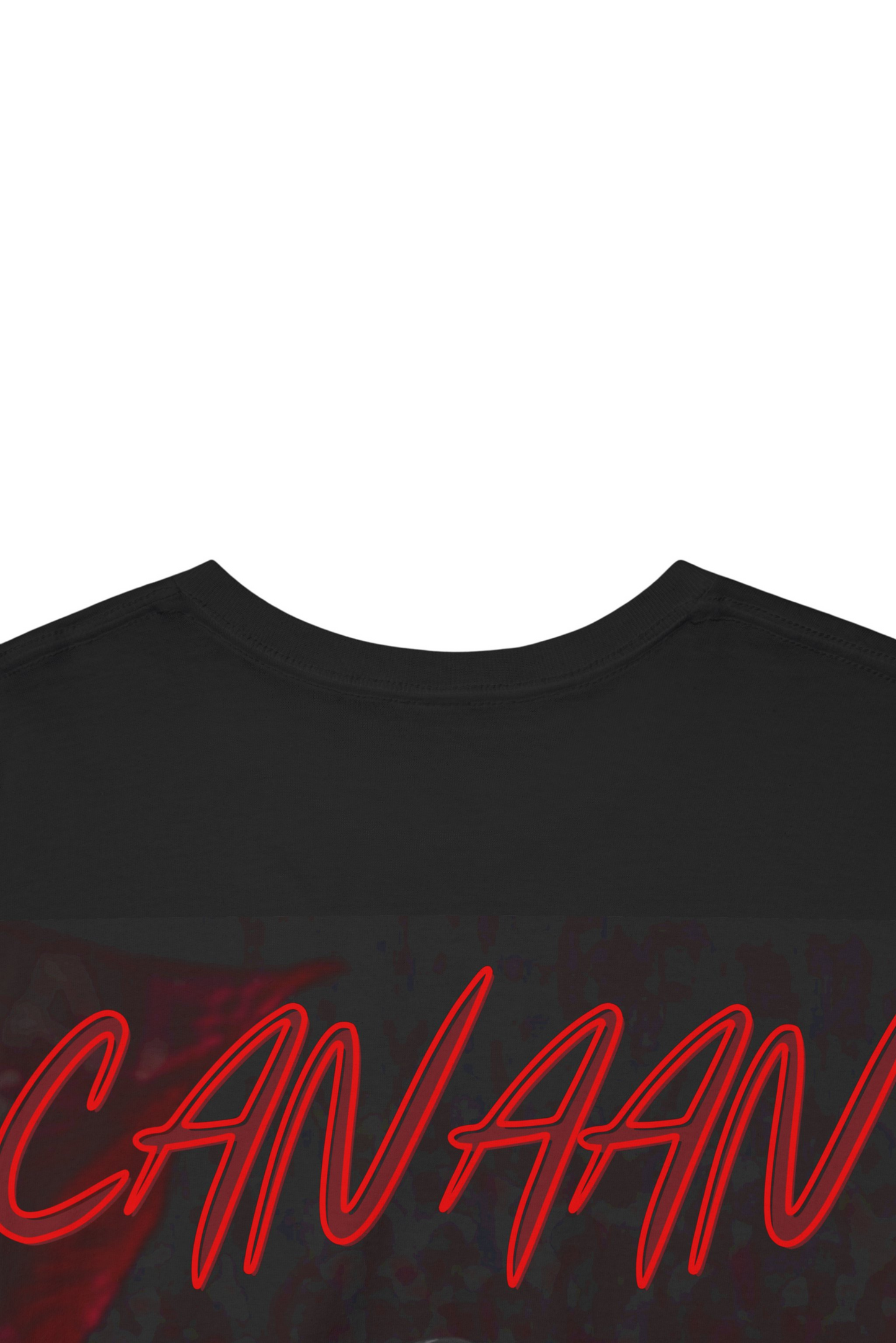Stay Fearless - Isaiah Canaan edition t-shirt