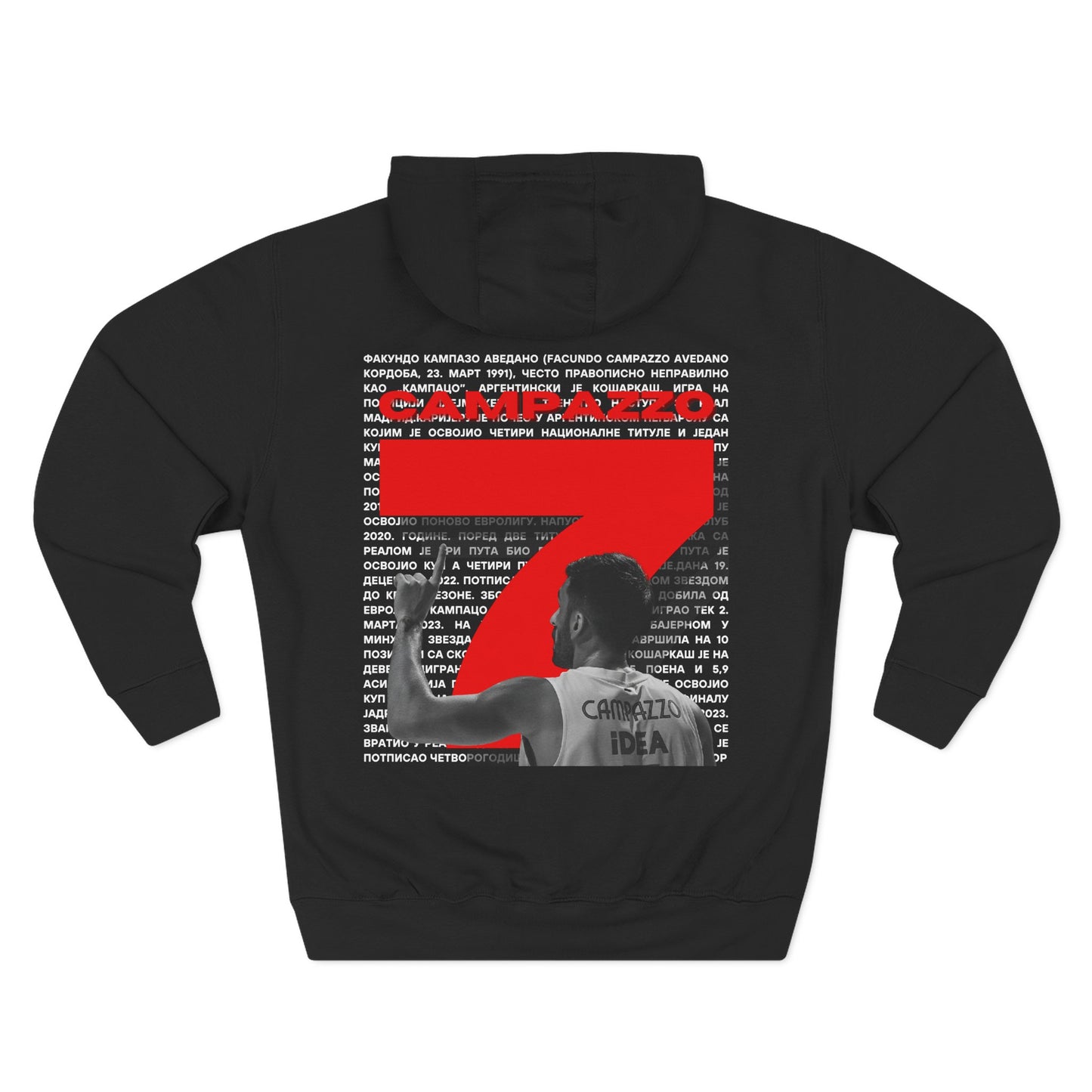 Three-Panel Fleece Hoodie