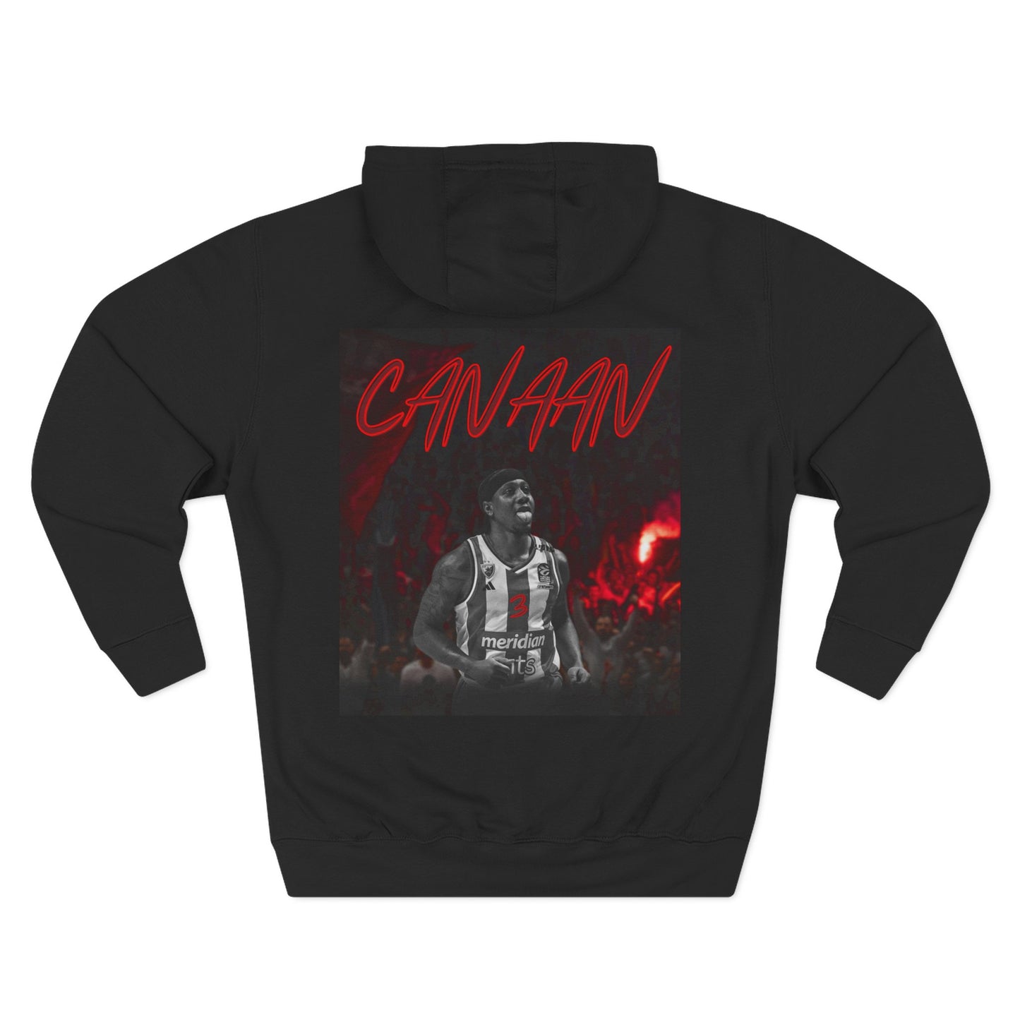 Three-Panel Fleece Hoodie